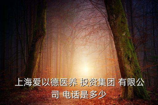  上海愛以德醫(yī)養(yǎng) 投資集團 有限公司 電話是多少