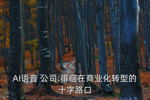 AI語音 公司:徘徊在商業(yè)化轉(zhuǎn)型的十字路口