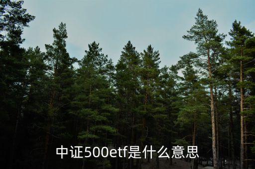 中證500etf是什么意思