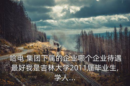  哈電 集團下屬的企業(yè)哪個企業(yè)待遇最好我是吉林大學2011屆畢業(yè)生,學人...