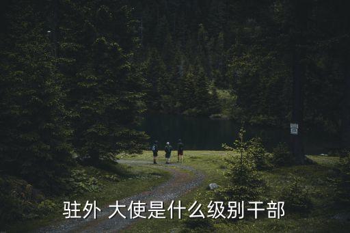 中國駐歐盟大使