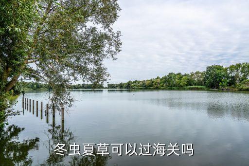 冬蟲夏草可以過海關(guān)嗎