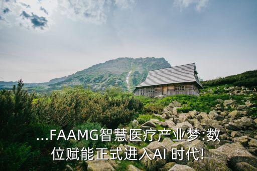 ...FAAMG智慧醫(yī)療產(chǎn)業(yè)夢(mèng):數(shù)位賦能正式進(jìn)入AI 時(shí)代!