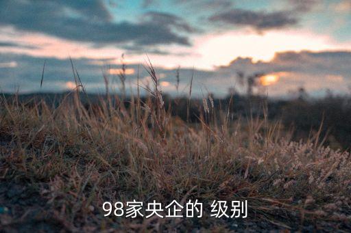 98家央企的 級別