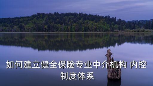 如何建立健全保險專業(yè)中介機(jī)構(gòu) 內(nèi)控 制度體系