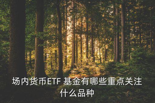 場(chǎng)內(nèi)貨幣ETF 基金有哪些重點(diǎn)關(guān)注什么品種