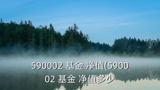 590002 基金 凈值(590002 基金 凈值多少