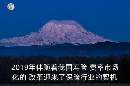 2019年伴隨著我國(guó)壽險(xiǎn) 費(fèi)率市場(chǎng)化的 改革迎來(lái)了保險(xiǎn)行業(yè)的契機(jī)