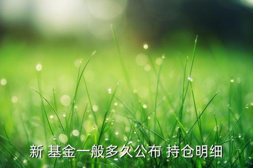 新 基金一般多久公布 持倉明細