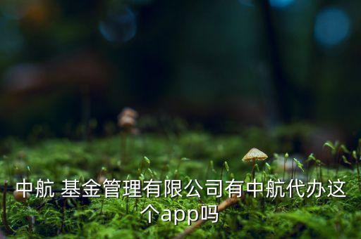 中航 基金管理有限公司有中航代辦這個(gè)app嗎