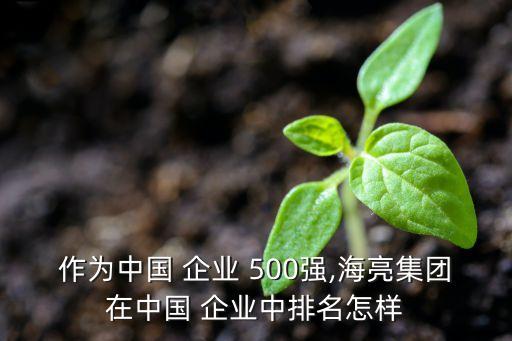 作為中國 企業(yè) 500強(qiáng),海亮集團(tuán)在中國 企業(yè)中排名怎樣