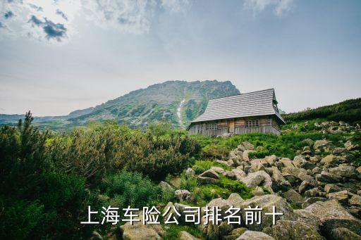 上海新華泰康,新華和泰康哪個(gè)公司好