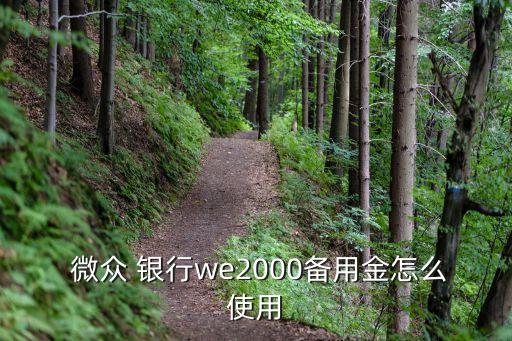  微眾 銀行we2000備用金怎么使用