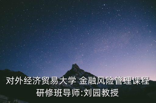 對(duì)外經(jīng)濟(jì)貿(mào)易大學(xué) 金融風(fēng)險(xiǎn)管理課程研修班導(dǎo)師:劉園教授