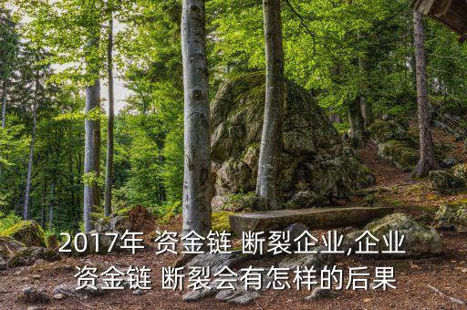 2017年 資金鏈 斷裂企業(yè),企業(yè) 資金鏈 斷裂會(huì)有怎樣的后果