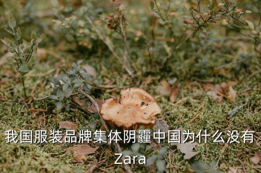 我國(guó)服裝品牌集體陰霾中國(guó)為什么沒(méi)有Zara