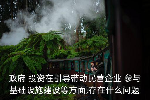 政府 投資在引導帶動民營企業(yè) 參與基礎設施建設等方面,存在什么問題