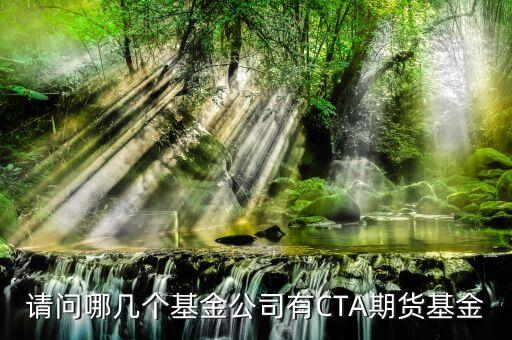 請問哪幾個基金公司有CTA期貨基金