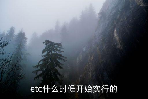 etc什么時候開始實行的