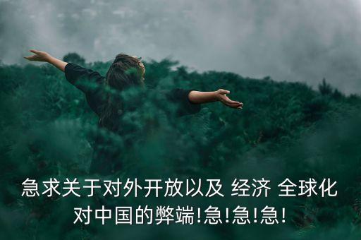 中國參與經(jīng)濟(jì)全球化的反思,反思經(jīng)濟(jì)全球化社會(huì)透視討論