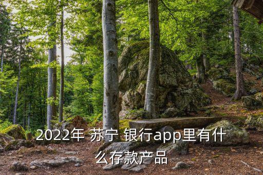 2022年 蘇寧 銀行app里有什么存款產(chǎn)品