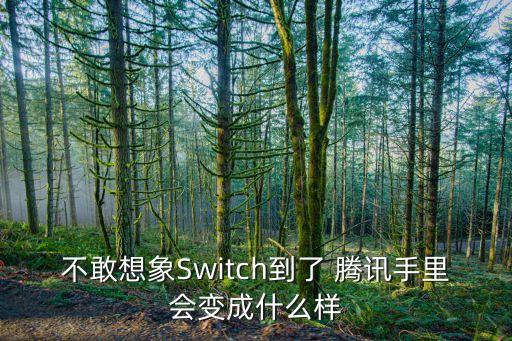 不敢想象Switch到了 騰訊手里會(huì)變成什么樣