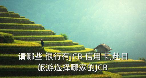 請(qǐng)哪些 銀行有JCB 信用卡,赴日旅游選擇哪家的JCB