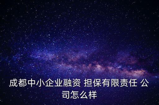 成都中小企業(yè)融資 擔保有限責任 公司怎么樣