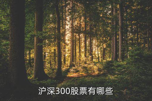 滬深300股票有哪些