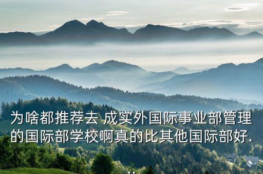 為啥都推薦去 成實外國際事業(yè)部管理的國際部學(xué)校啊真的比其他國際部好...