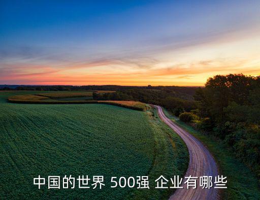 中國(guó)的世界 500強(qiáng) 企業(yè)有哪些