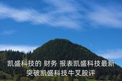 凱盛科技的 財務(wù) 報表凱盛科技最新突破凱盛科技牛叉股評