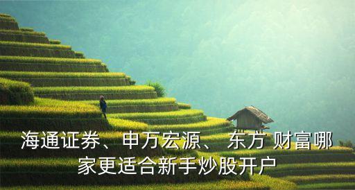 海通證券、申萬宏源、 東方 財富哪家更適合新手炒股開戶