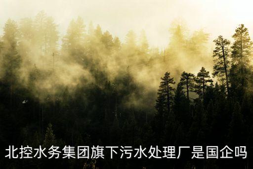 北控水務(wù)集團(tuán)旗下污水處理廠(chǎng)是國(guó)企嗎