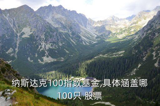 納斯達克100指數(shù)基金,具體涵蓋哪100只 股票