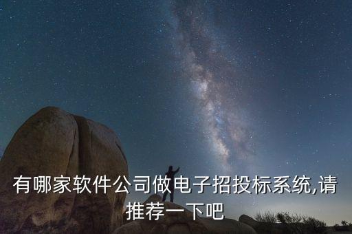 有哪家軟件公司做電子招投標(biāo)系統(tǒng),請推薦一下吧