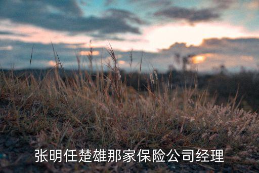 張明任楚雄那家保險(xiǎn)公司經(jīng)理