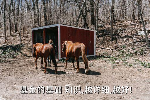  基金的基礎 知識,越詳細,越好!