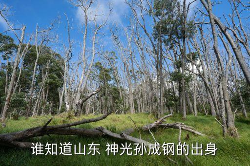 誰知道山東 神光孫成鋼的出身