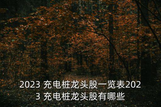 2023 充電樁龍頭股一覽表2023 充電樁龍頭股有哪些