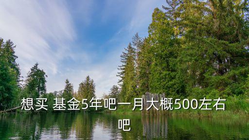 想買(mǎi) 基金5年吧一月大概500左右吧