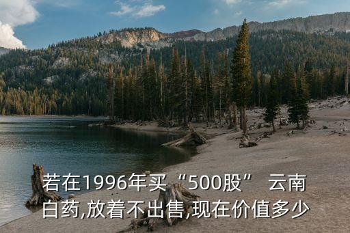 若在1996年買“500股” 云南白藥,放著不出售,現(xiàn)在價值多少