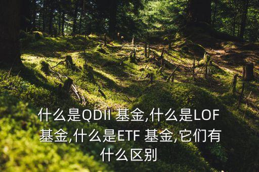 lof基金與etf基金,關(guān)于ETF基金與LOF基金,以下說(shuō)法正確的是