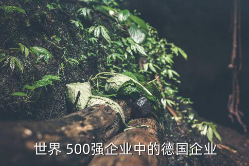  世界 500強企業(yè)中的德國企業(yè)