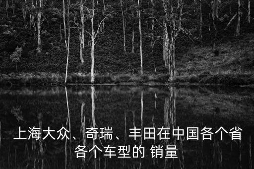  上海大眾、奇瑞、豐田在中國各個省各個車型的 銷量