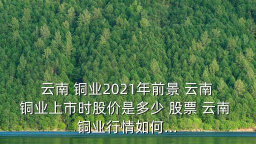  云南 銅業(yè)2021年前景 云南 銅業(yè)上市時(shí)股價(jià)是多少 股票 云南 銅業(yè)行情如何...