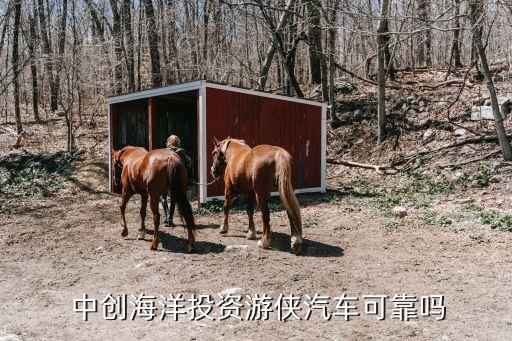  中創(chuàng)海洋投資游俠汽車(chē)可靠嗎