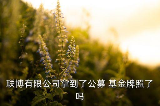 聯(lián)博有限公司拿到了公募 基金牌照了嗎