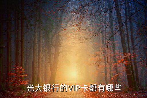  光大銀行的VIP卡都有哪些