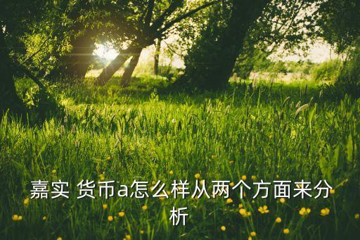  嘉實(shí) 貨幣a怎么樣從兩個(gè)方面來(lái)分析